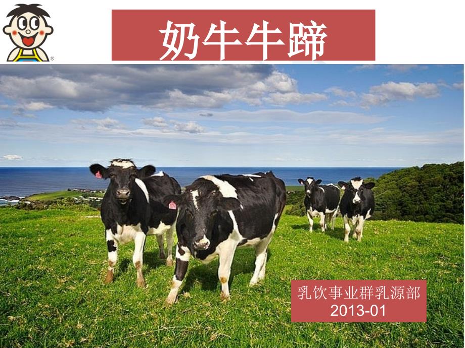 奶牛牛蹄_第1页