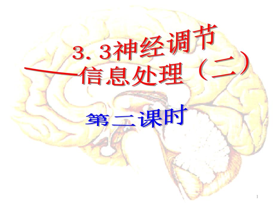 神经调节第二课时_第1页