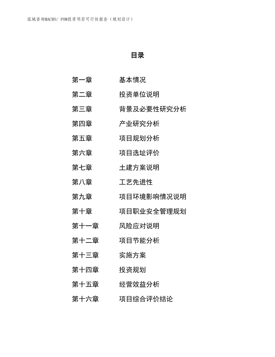 POM投资项目可行性报告（规划设计）_第1页