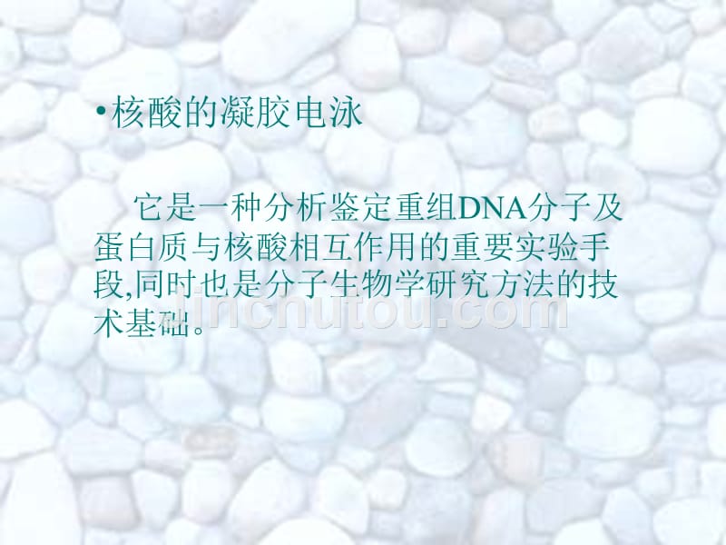 医学保健]基因操作的主要技术原理_第4页