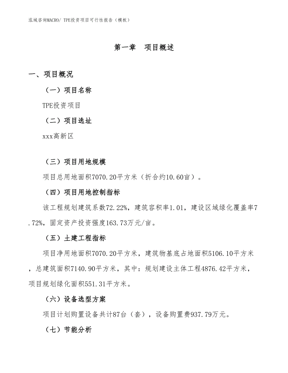 TPE投资项目可行性报告（模板）_第2页