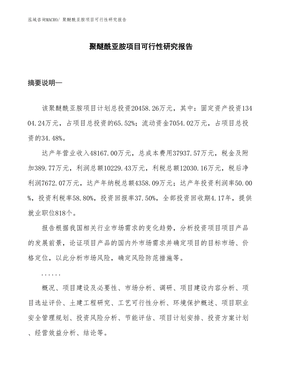 （项目设计）聚醚酰亚胺项目可行性研究报告_第1页