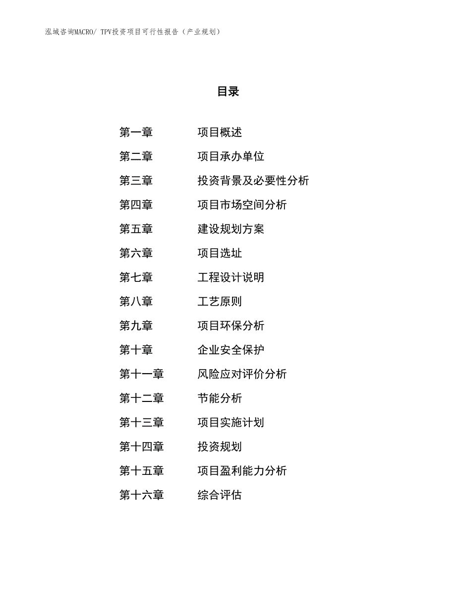 TPV投资项目可行性报告（产业规划）_第1页