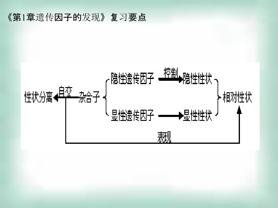 资料]遗传与变更温习资料要点_第4页