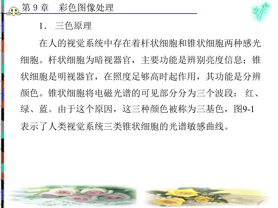 数字图像处理武汉大学第九章_第3页