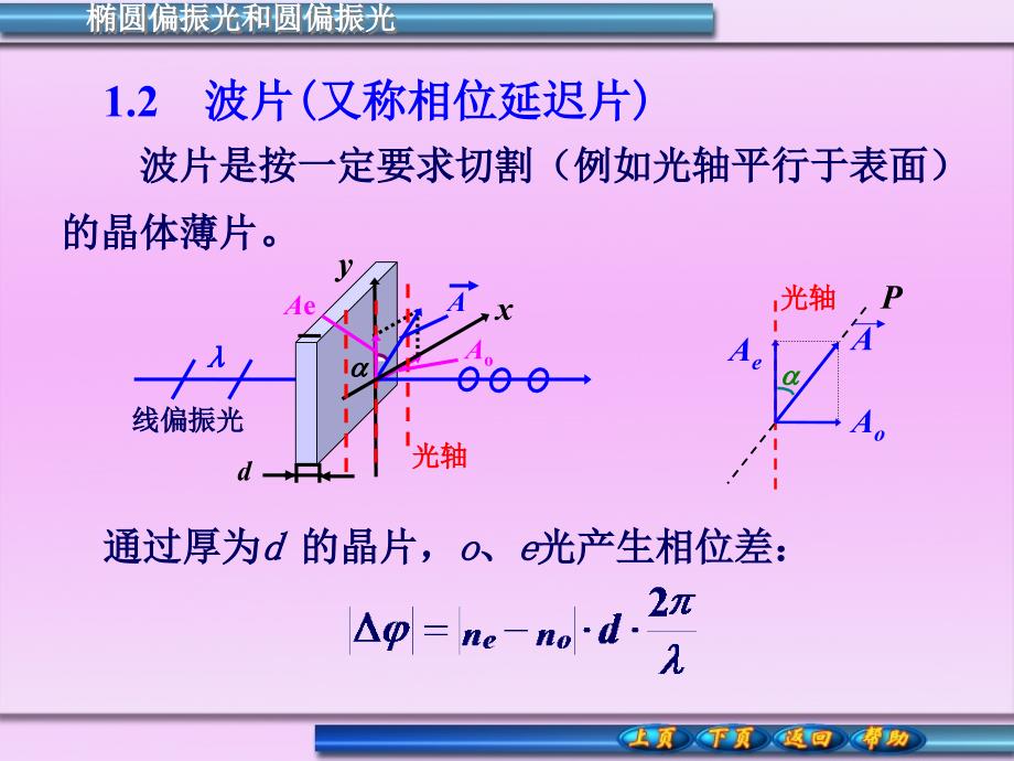 椭圆偏振光和圆偏振光偏振光的干涉_第4页