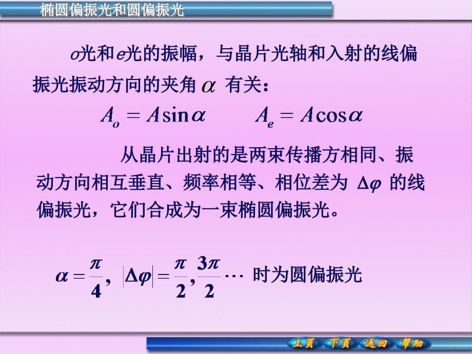 椭圆偏振光和圆偏振光偏振光的干涉_第5页