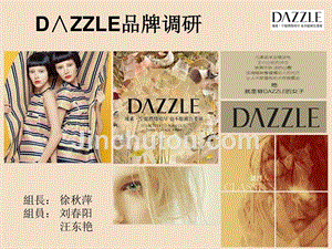 《dazzle品牌餮衉图》ppt课件