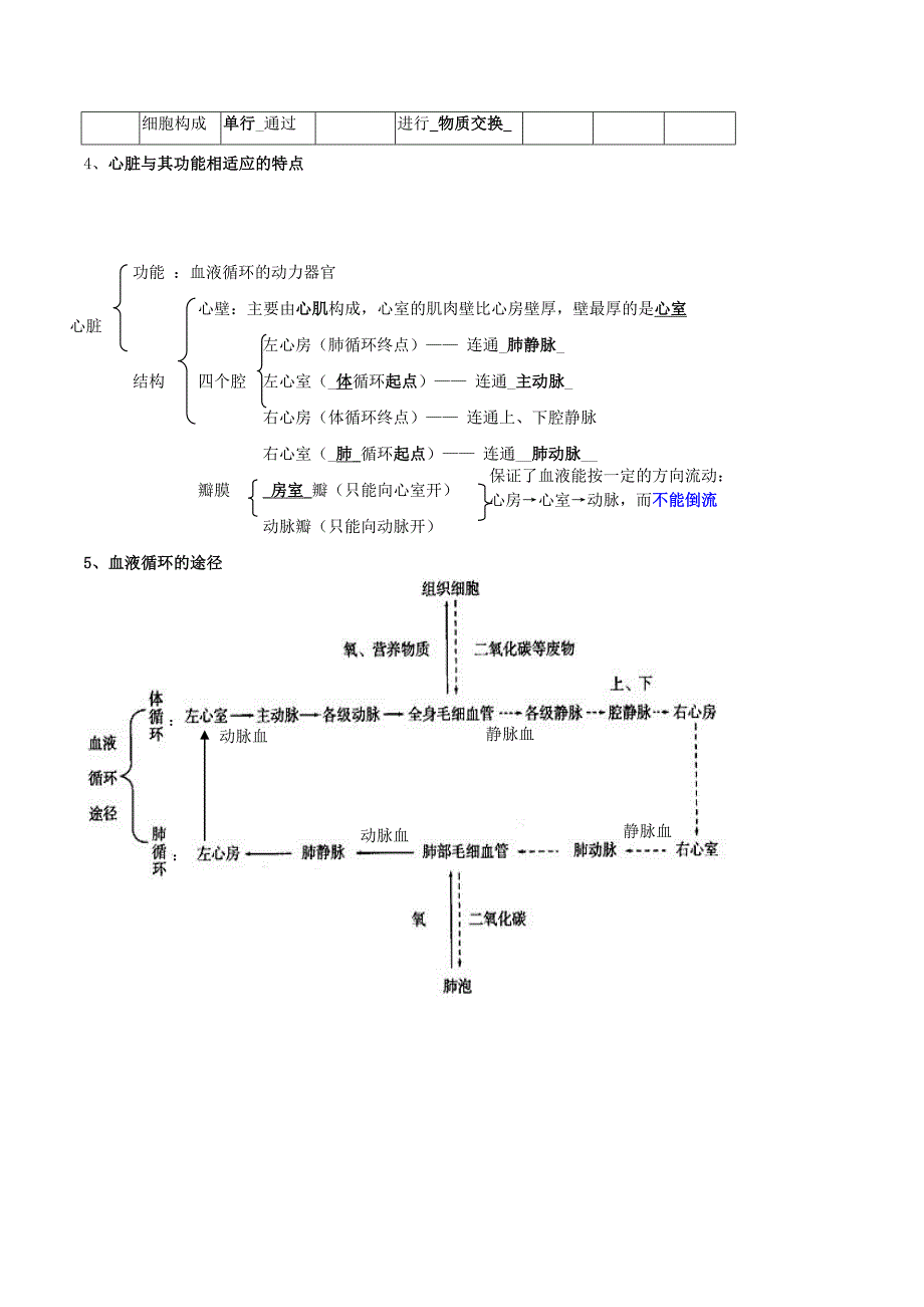 2012年中考生物复习知识点：人体内物质的运输.doc_第2页