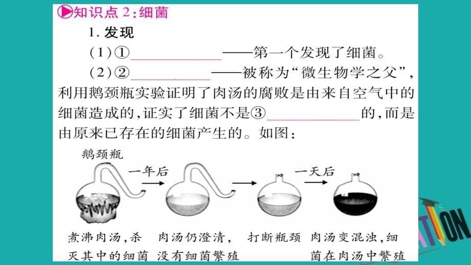 2018中考生物总复习 教材考点梳理 八上 第5单元 第4、5章课件 新人教版.ppt_第5页