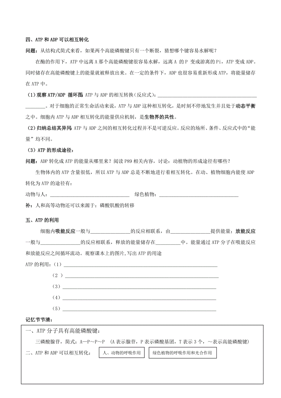 生物：5.2《细胞的能量通货——ATP》教案（新人教版必修1）.doc_第2页