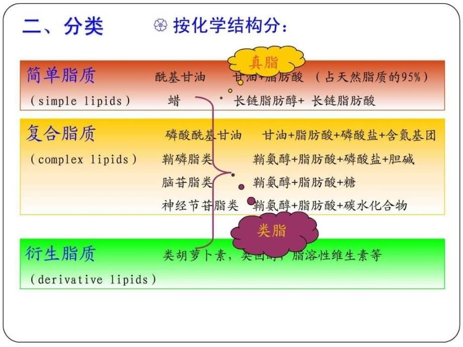 食品化学 第五章 脂质_第5页