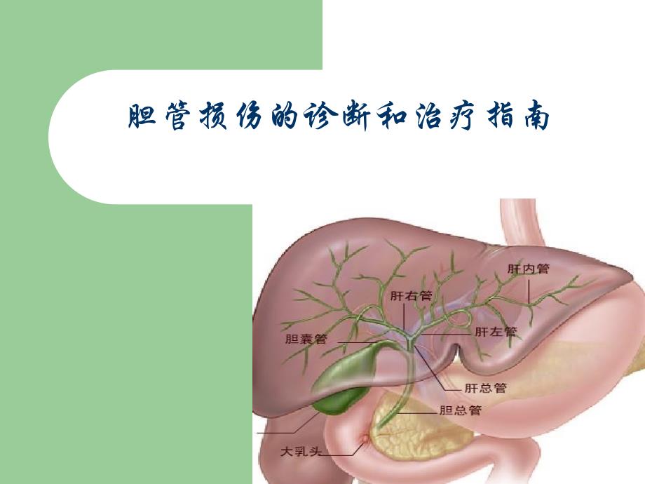 胆管损伤的诊断和治疗指南_第1页