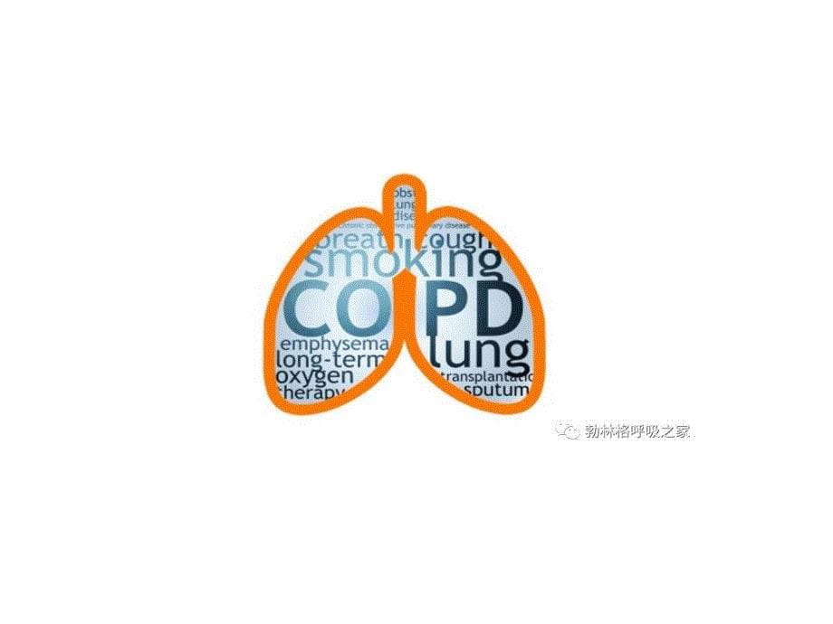 【8A文】《慢阻肺诊断、治疗与预防全球倡议(GOLD)》2018版_第5页