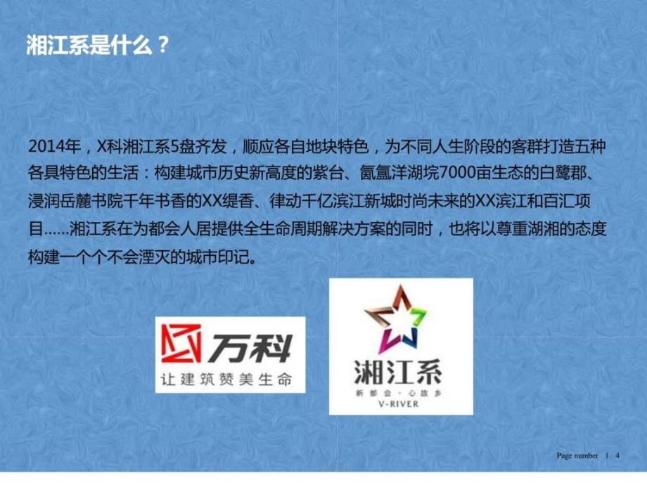 湖南长沙房地产项目运营市场调研营销策划销售推广报_第4页