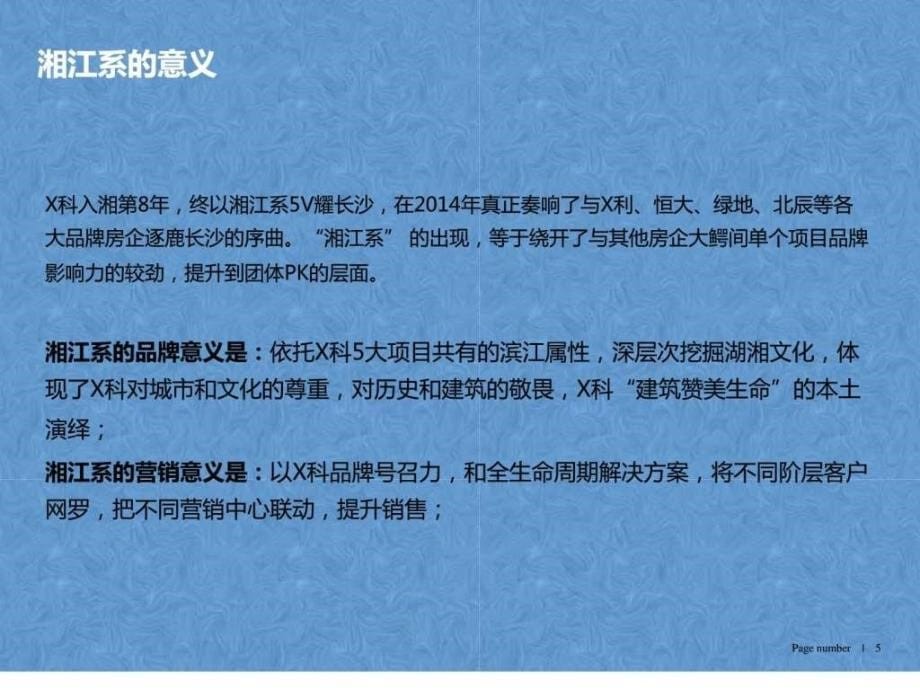 湖南长沙房地产项目运营市场调研营销策划销售推广报_第5页