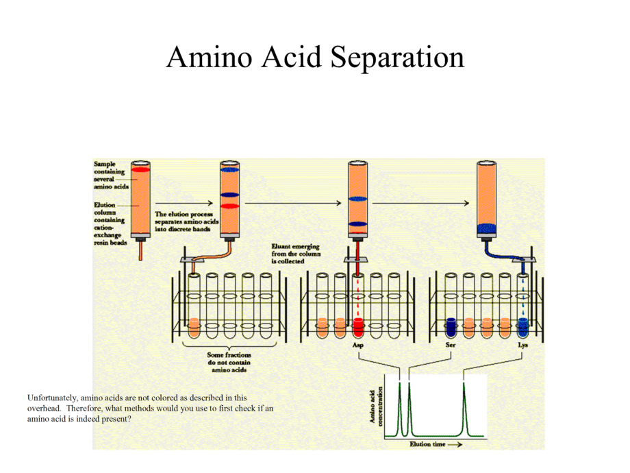 生物化学（英文版）biochemistry-chapter 3 aa and primary structure of proteinpa_第4页