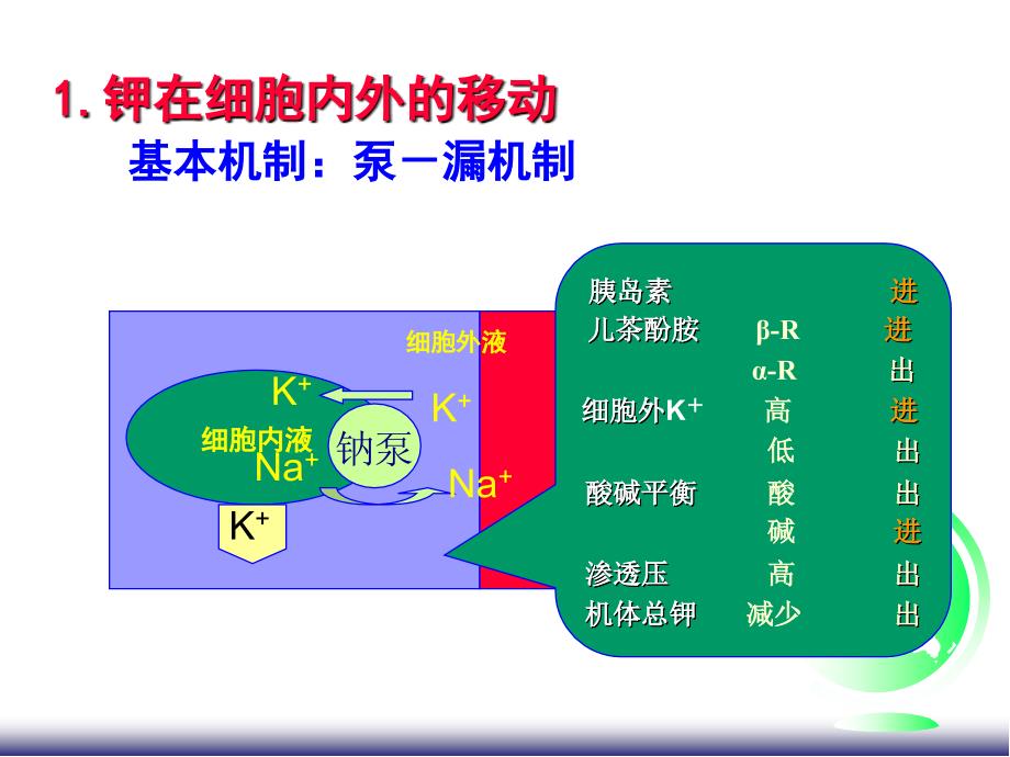 《病理生理学》课件-钾紊乱_第4页