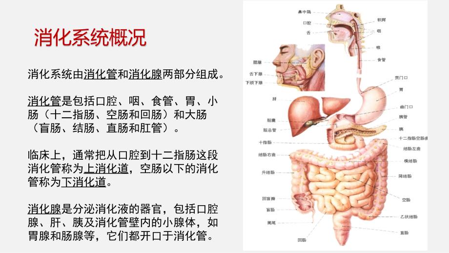 胃肠镜前后的护理_第3页