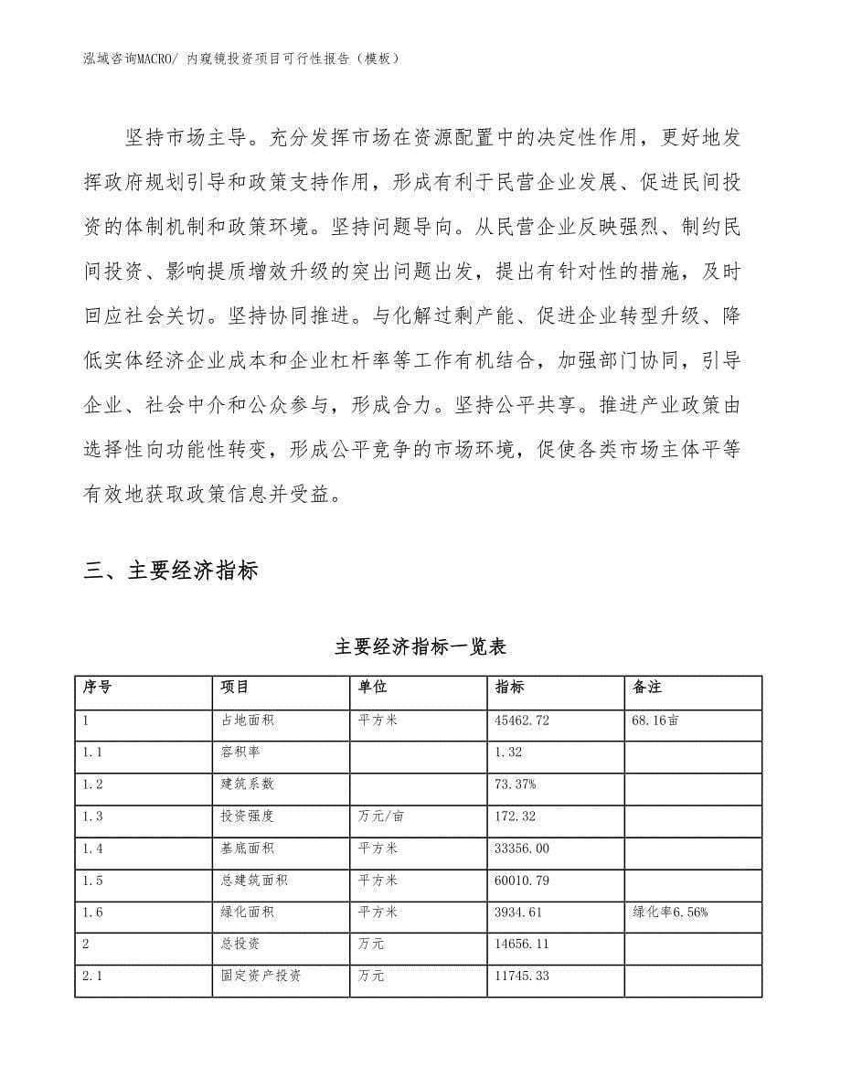 内窥镜投资项目可行性报告（模板）_第5页