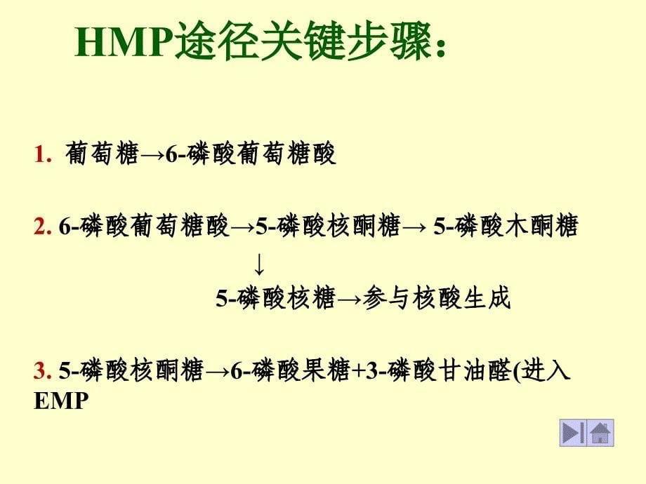 hmp途径(戊糖磷酸途径)_第5页