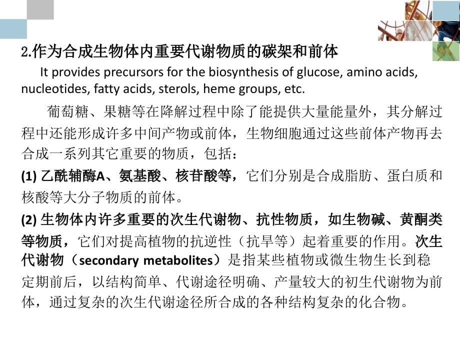 生物化学ii（苏维恒）糖酵解_第5页