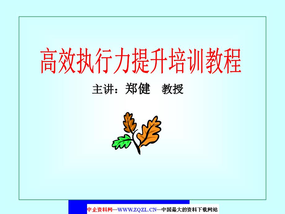 高效执行力提升培训教程(ppt46)_第1页