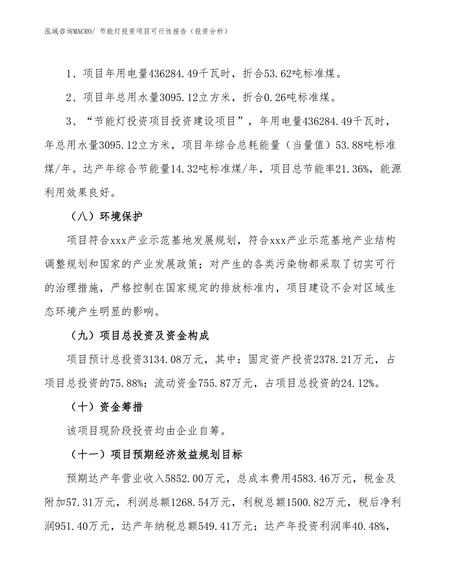 节能灯投资项目可行性报告（投资分析）_第3页