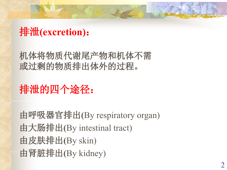 《泌尿生理学》ppt课件_第2页