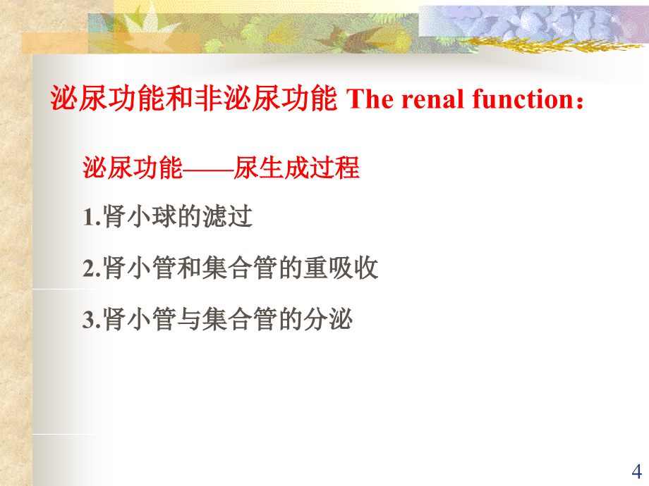 《泌尿生理学》ppt课件_第4页