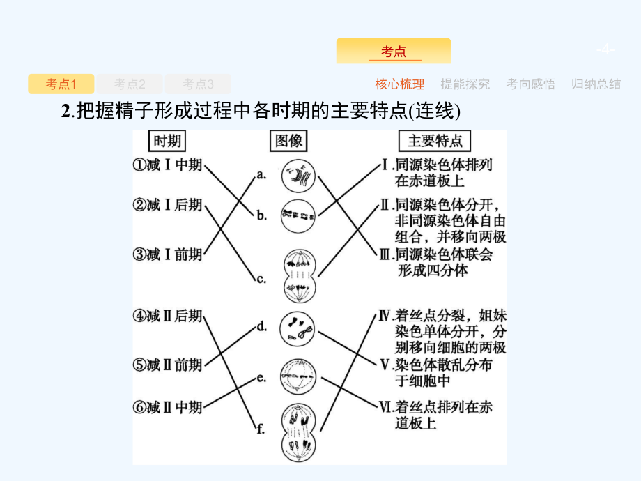 2018高考生物（新课标）一轮复习课件：第4单元　细胞的生命历程4.2 .pptx_第4页