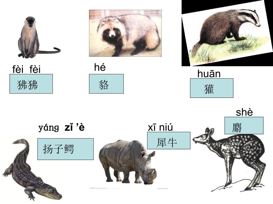 苏教版四上练习_第4页