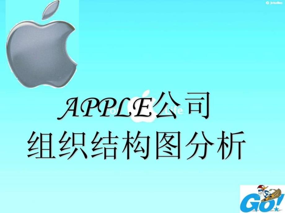 apple公司结构分析_第1页