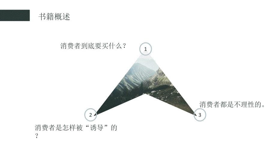 【8A文】《消费者行为心理学》_第5页