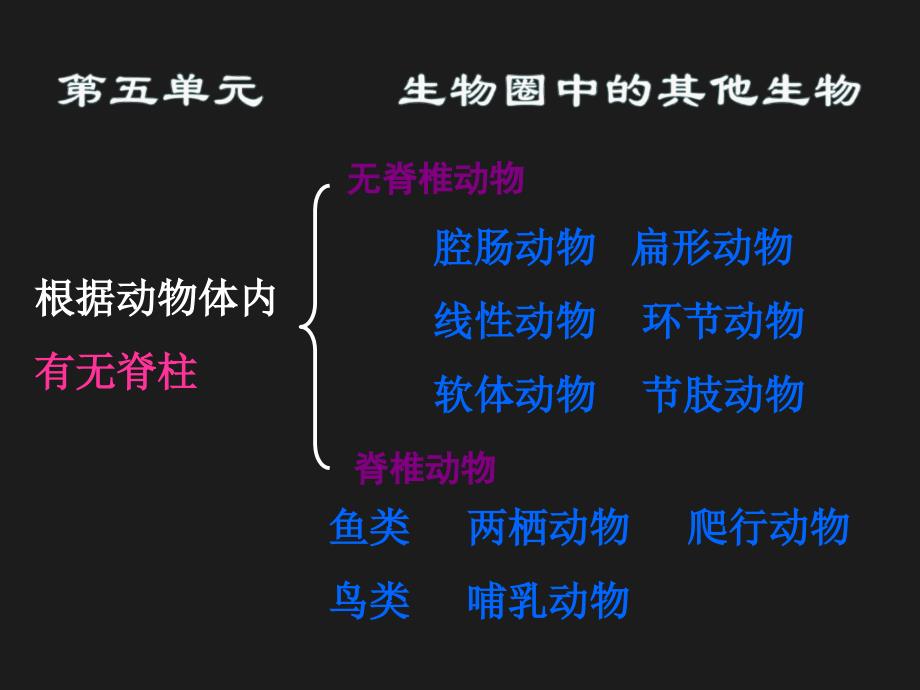 初中生物复习(总提纲)_第1页