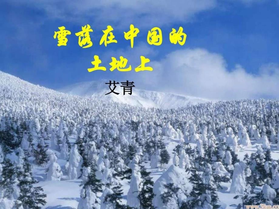 高中语文高一年级上华东师大版4.11《雪落在中国的土地-1_第1页