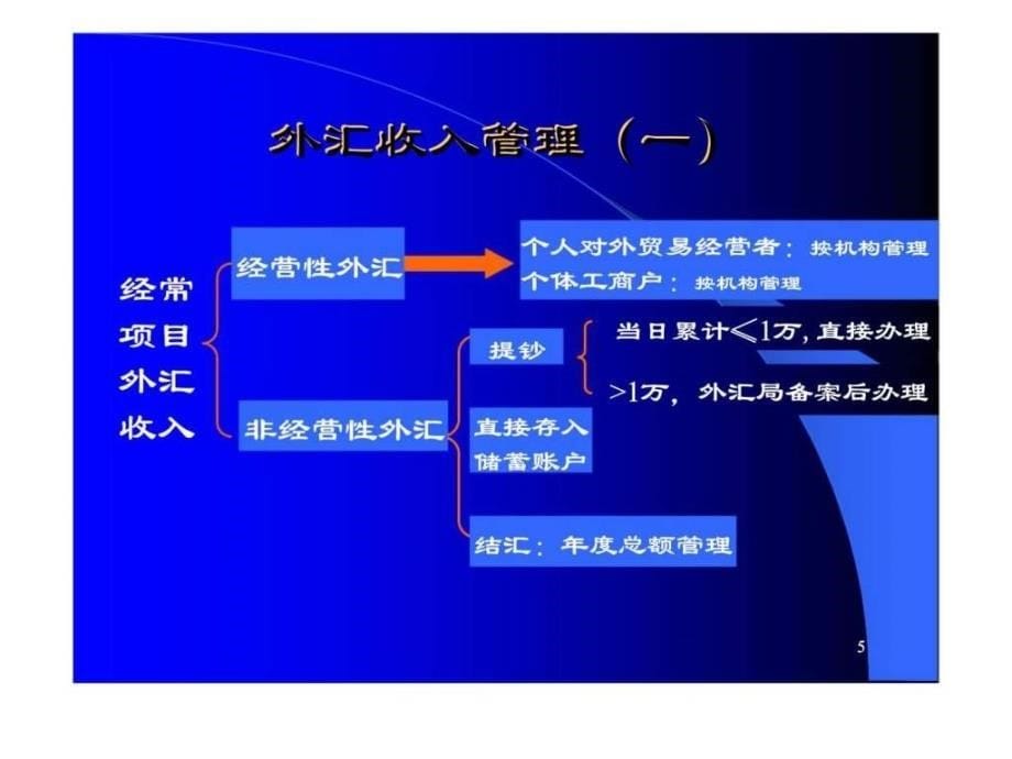 《个人外汇管理》ppt课件_第5页