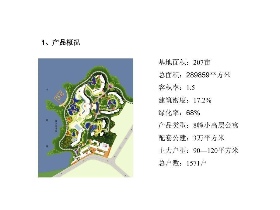 绿城·千岛湖推广提案报告演示文稿_第5页