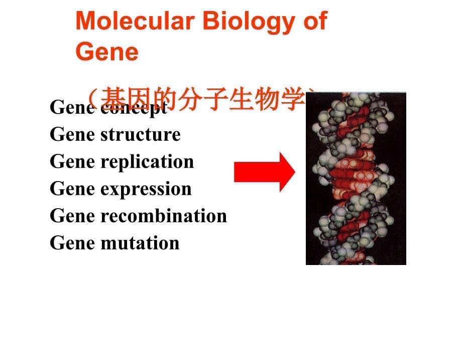 分子生物学（杨洋）课程总结_第5页