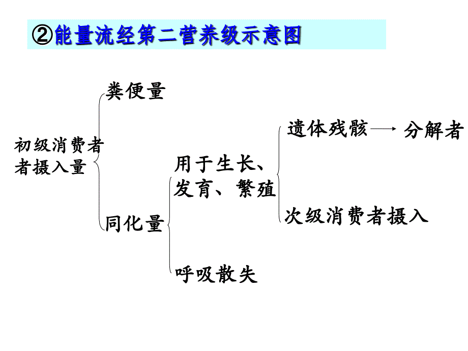 [高一理化生]生态系统的能量流动_第4页