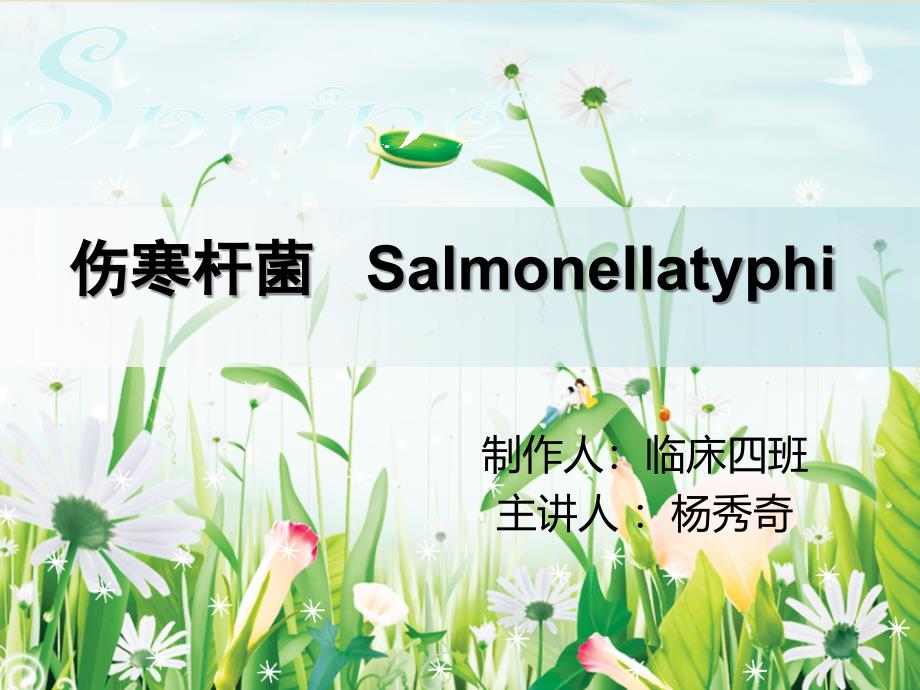 伤寒杆菌salmonellatyph_第1页