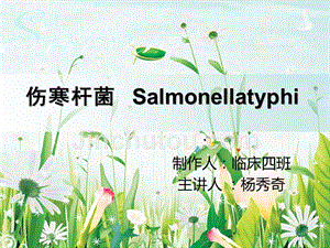 伤寒杆菌salmonellatyph