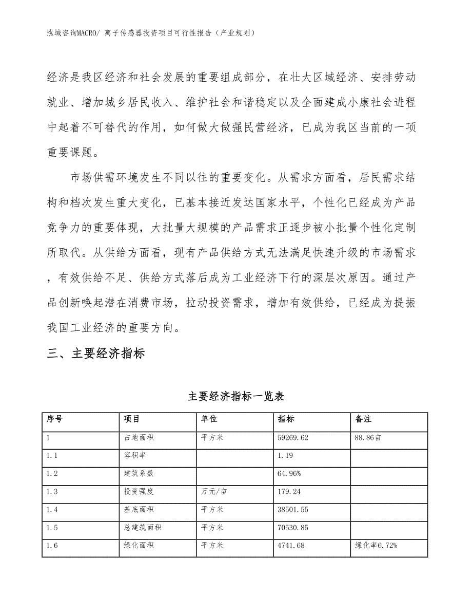 离子传感器投资项目可行性报告（产业规划）_第5页