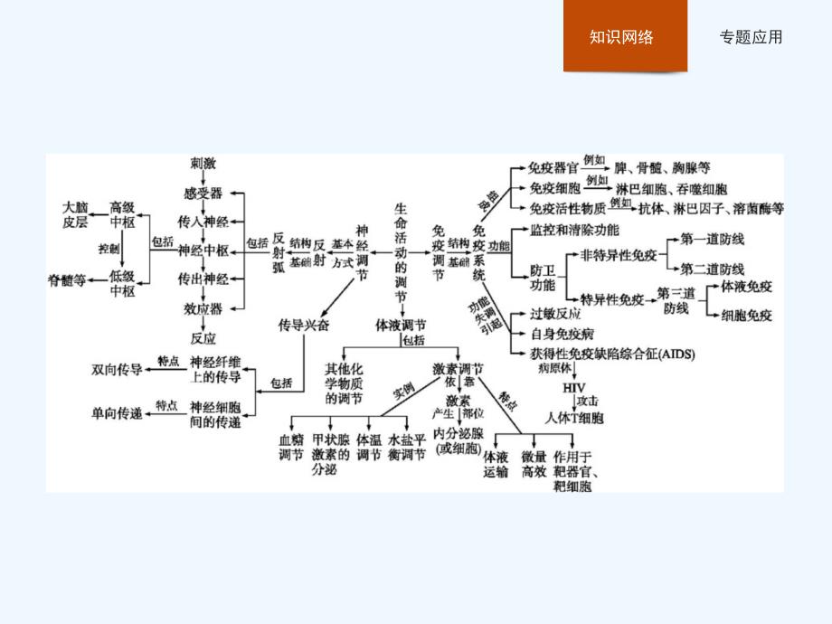 2018版高中生物人教版必修3课件：2本章整合 .pptx_第2页