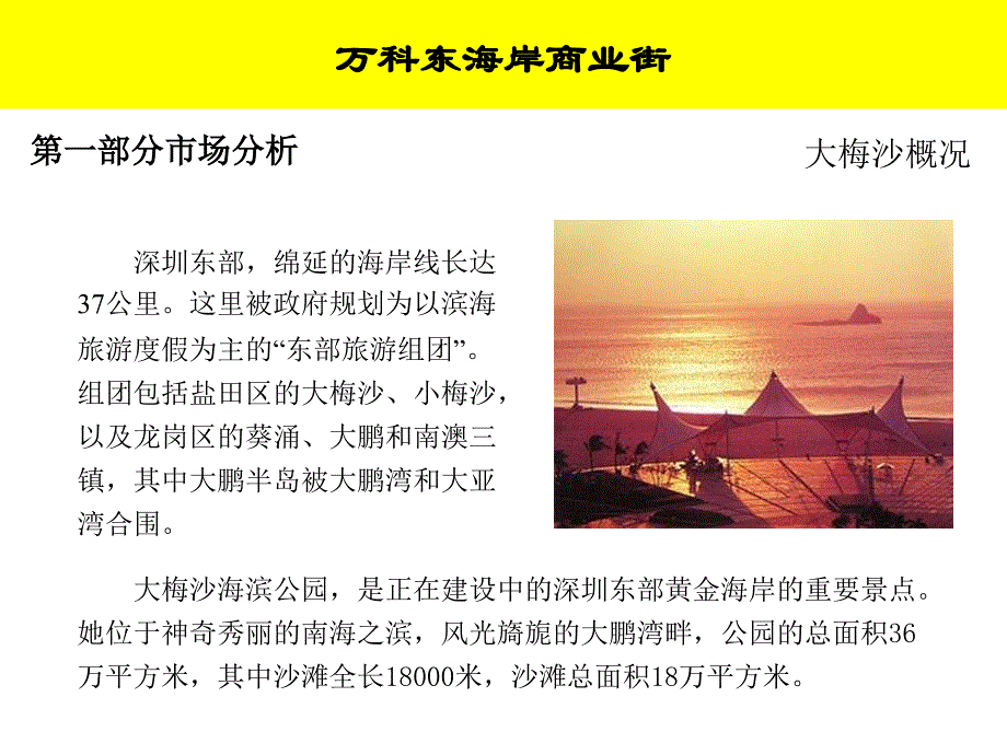 万科深圳东海岸商业街策划定位报告_第4页