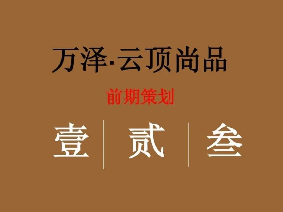 深圳万泽云顶尚品高端项目前期策划_第5页