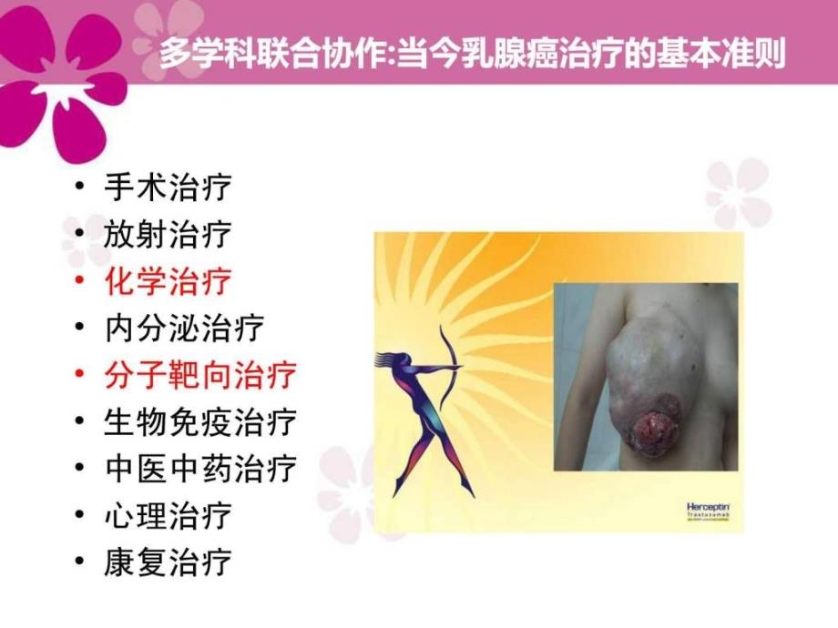 乳腺癌化疗与靶向治疗_第2页