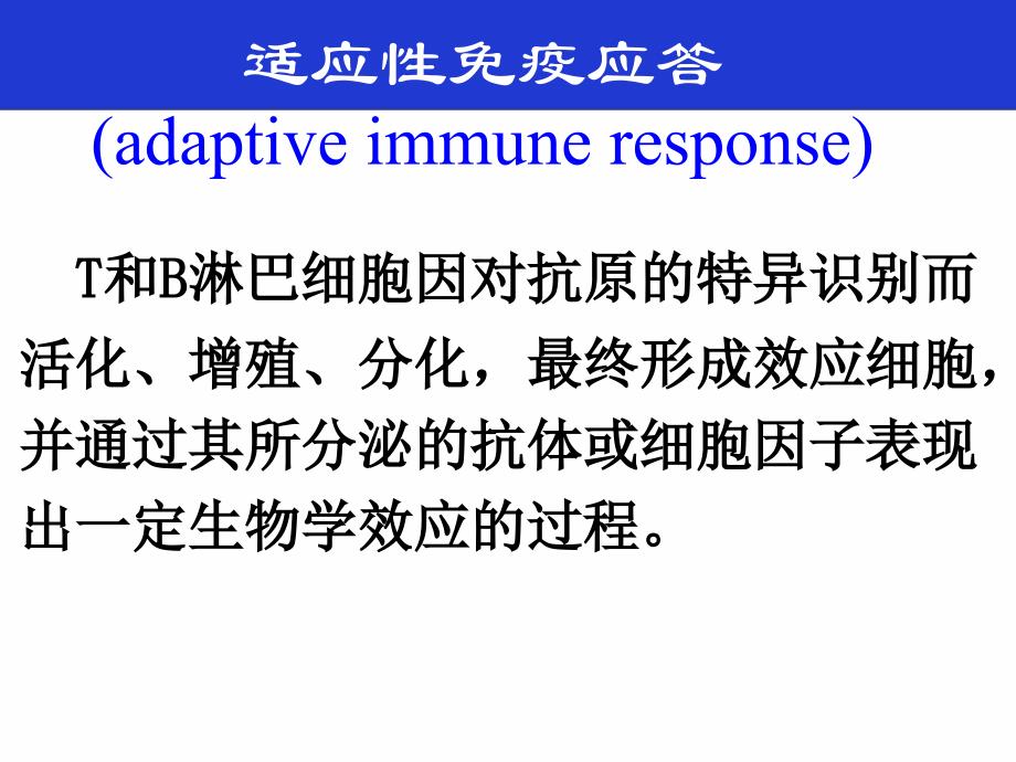 《医学免疫学教学资料》免疫应答讲义dh_第3页