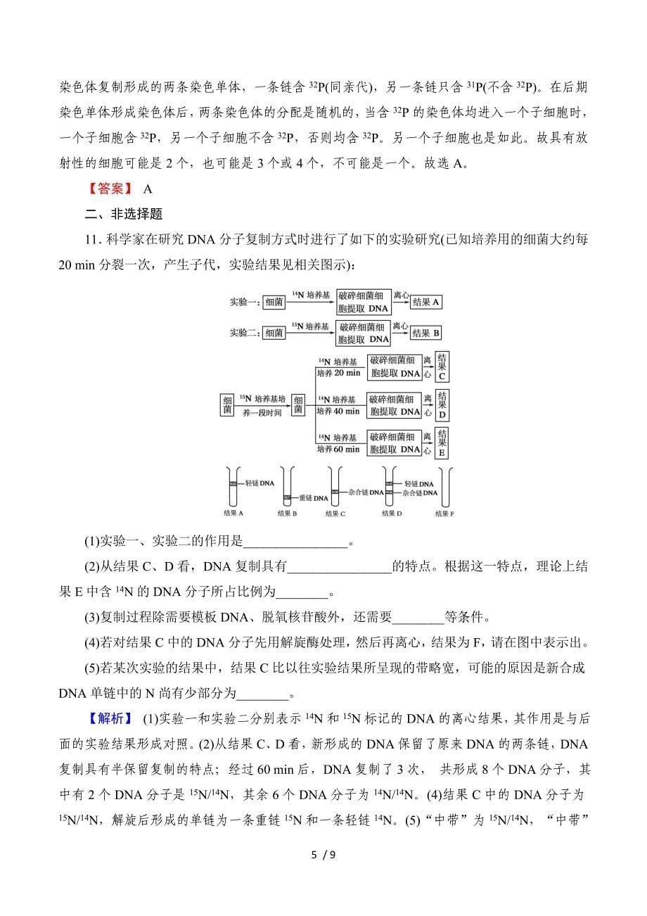 2014届高考生物一轮复习课时作业：必修二 3-2 DNA分子的结构与复制与基因的本质.doc_第5页