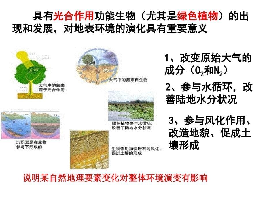 高中地理 卢陈莉 教学必修一 3.1自然地理要素变化与环境变迁_第5页